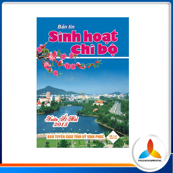 In bản tin, tạp chí